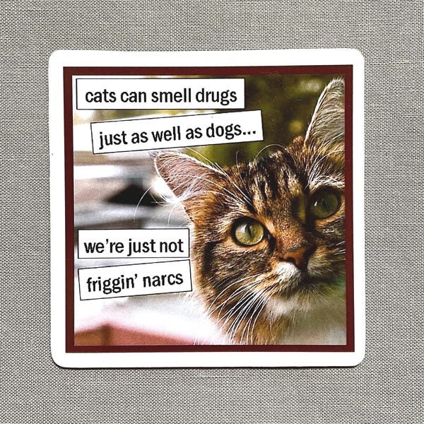 Cat Magnet, Refrigerator Magnet, Flexible Rubber Magnet, Gift for Stoner, Gift for Cat Lover