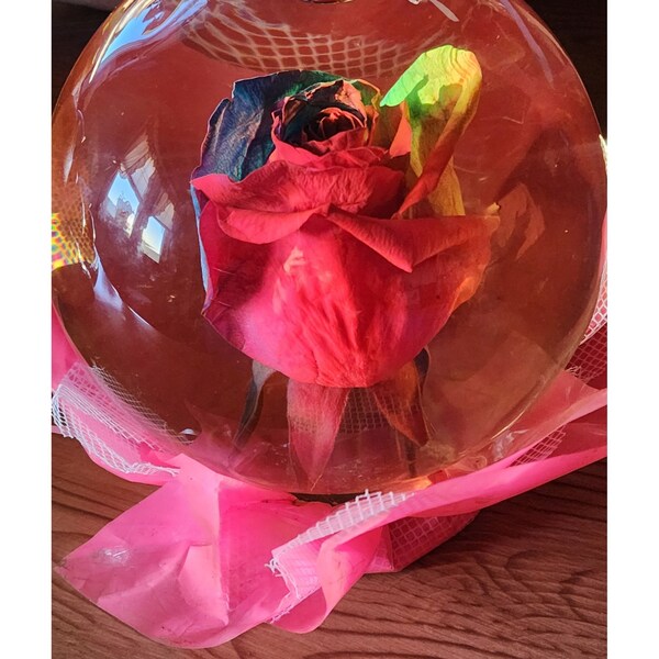 Real Rose in Water Globe Etsy
