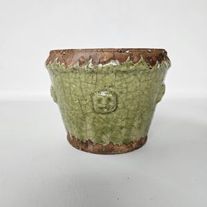 May include: A small, green ceramic planter with a crackle glaze. The rim and base are a contrasting brown color. The planter has a slightly textured surface and features small, decorative elements on the sides.