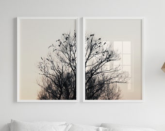 Set of 2 Birds Prints, Birds on Branches, Tree Branches Wall Art, Nature wall art, Tree Branches Decor, Silhouette Print, Instant Download