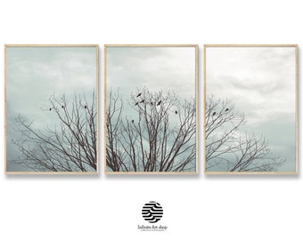 Birds on Branches Photography, Set of 3 Birds Prints, Tree Art Prints, Tree Wall Decor, Branches Print, Downloadable Prints, Large Wall Art.