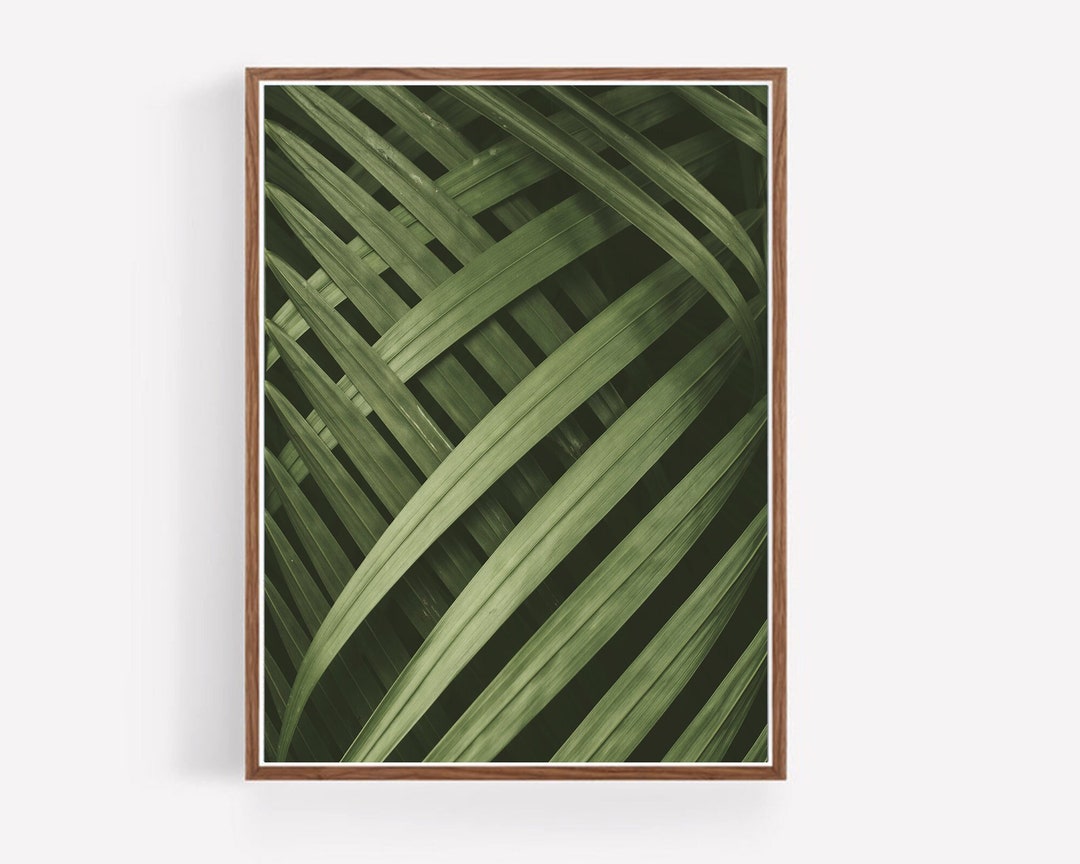 Sage Green Tropical Leaves Print, Minimalist Botanical Wall Art, Palm ...