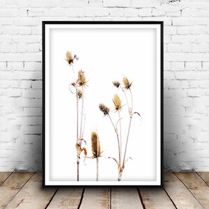 Minimalistischer Botanischer Druck, Getrocknete Blumen Wandkunst, Wildblumen druckbare Poster, Kräuter-Wand-Dekor, Neutrales Blumen Kunstwerk, sofortiger Download