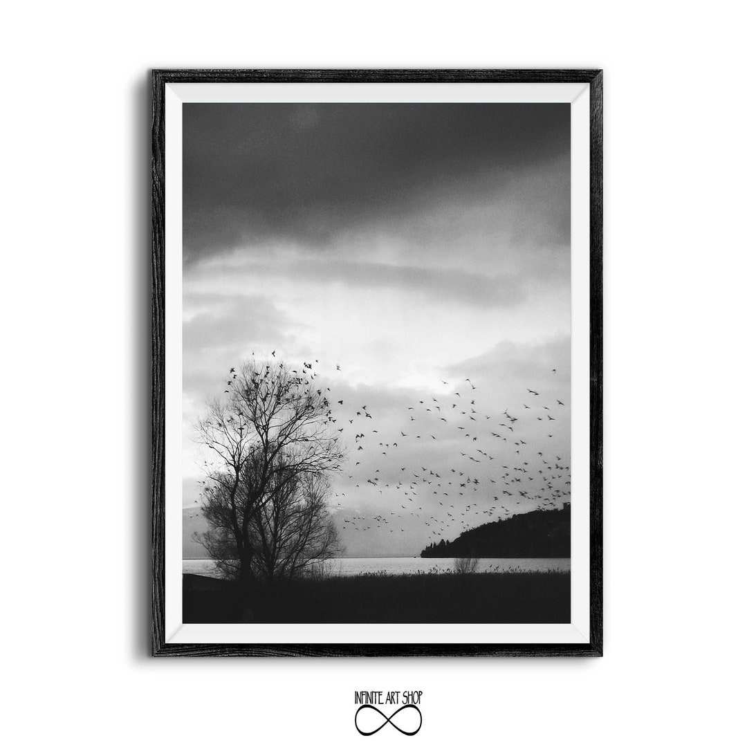 black-and-white-tree-photography-print-birds-in-cloudy-sky-wall-art