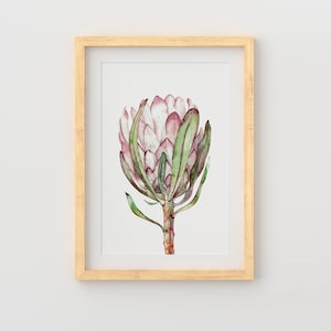 Protea Print, Floral Wall Art, Printable Botanical Poster, Digital Download, Watercolor Protea Flower, Printable Wall Art, Modern Minimalist
