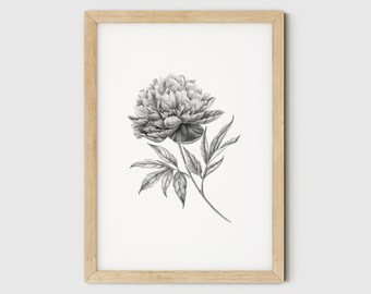 Peony Print Flower Wall Art, Black and White Print, Bedroom Wall Decor, Black and White Flower Abstract Prints Digital Floral Poster
