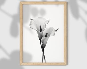 Puede incluir: Impresión enmarcada en blanco y negro con dos calas. Las flores tienen pétalos blancos y tallos y espádices oscuros. La impresión está en un marco de madera clara, sobre un fondo blanco.