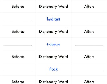 Digital Dictionary - Before and After Magnolia Montessori Material