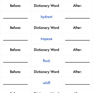 Digital Dictionary - Before and After Magnolia Montessori Material