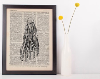 Anatomical Foot Muscle Dictionary Art Print, Medical Alternative Anatomy Vintage