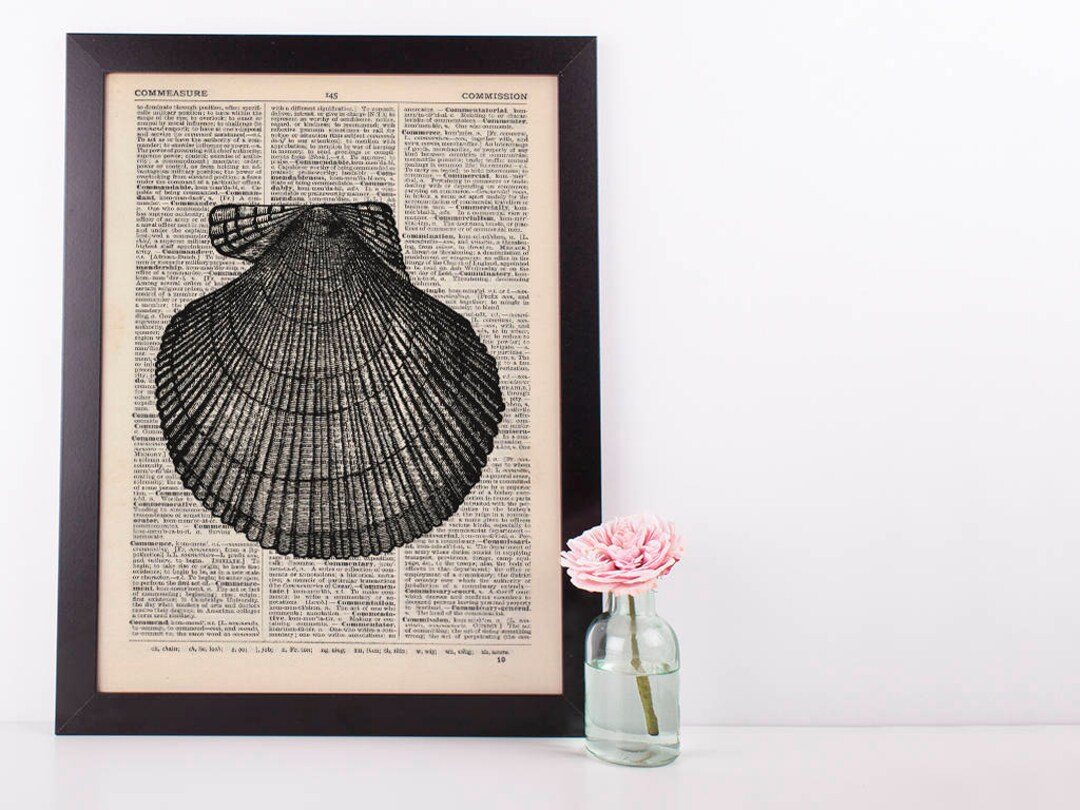 Scallop Shell Dictionary Illustration Art Print Vintage Sea Life