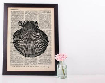 Scallop Shell Dictionary Illustration Art Print Vintage Sea Life Nautical