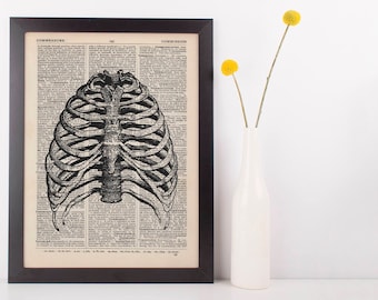 Anatomical Ribcage Dictionary Art Print,Medical Anatomy Vintage Rib Cage Medical