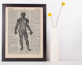 Anatomical Front body Muscles Dictionary Art Print, Medical Anatomy Vintage