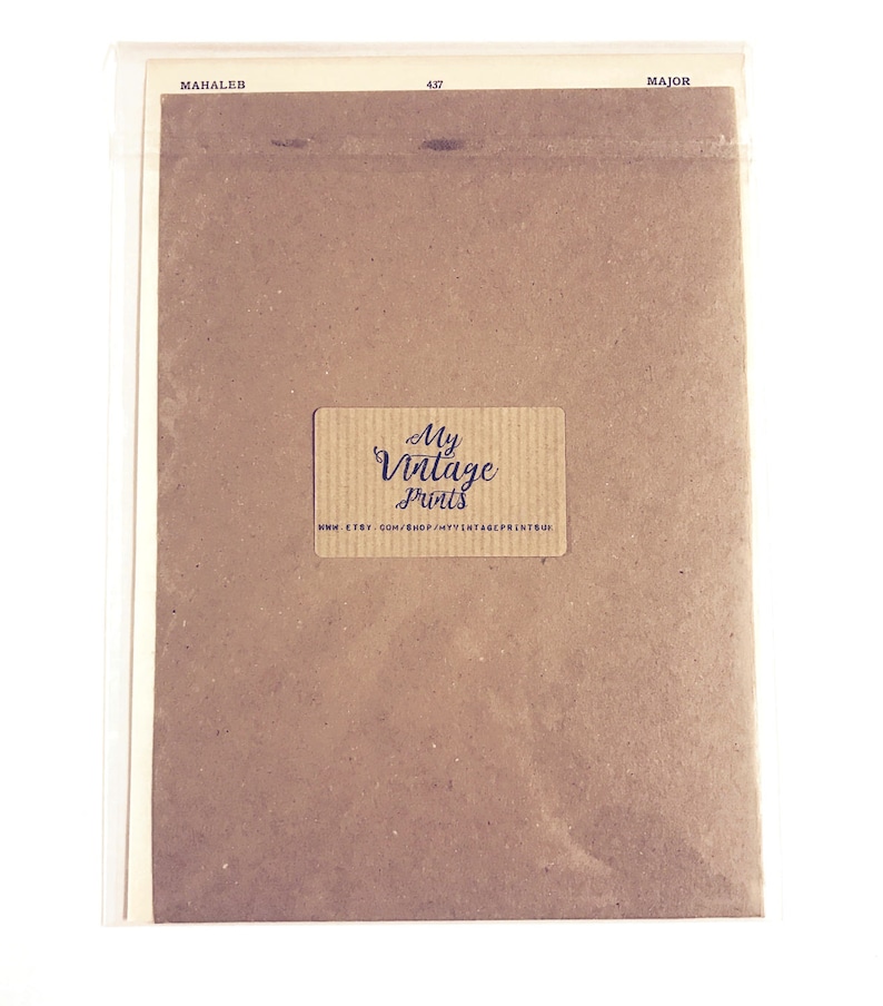 May include: A brown paper card with a white border. The card has a brown label with the text "My Vintage Prints" and the website address "www.etsy.com/shop/myvintageprints".