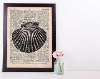 Scallop 2 Shell Dictionary Illustration Art Print Vintage Sea Life Nautical