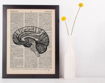 Anatomical Brain Dissection Dictionary Art Print, Medical Gross Anatomy Vintage