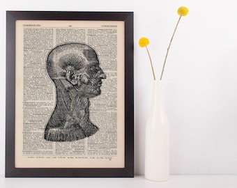 Anatomical Side Muscle Dissection Dictionary Art Print,Medical Anatomy Vintage