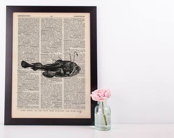 Cat Fish Dictionary Illustration Art Print Vintage Alternative Sea Life Nautical