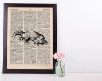 Sealion and Pup Dictionary Illustration Art Print Vintage Sea Life Nautical