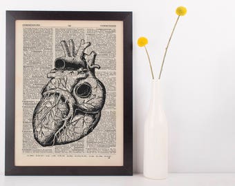 Anatomical Heart 1 Dictionary Art Print, Medical Alternative Anatomy Vintage