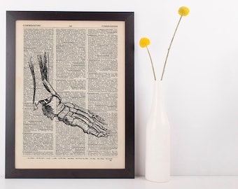 Anatomical Foot Bones Dictionary Art Print, Medical Alternative Anatomy Vintage