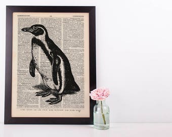 Penguin Dictionary Illustration Art Print Vintage Sea Life Nautical