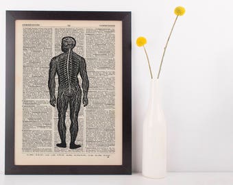 Anatomical Back Nerve Dictionary Art Print, Medical Anatomy Vintage