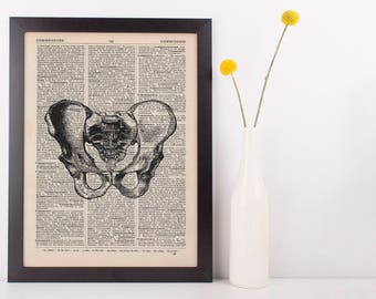 Anatomical Hip Bone Pelvis Dictionary Art Print,Medical Anatomy Vintage