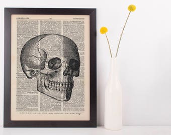 Anatomical Right Facing Skull Dictionary Art Print,Medical Anatomy Vintage