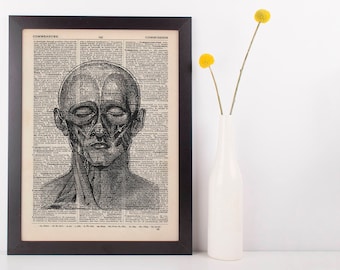Anatomical Front Face Muscles Diss Dictionary Art Print, Medical Anatomy Vintage
