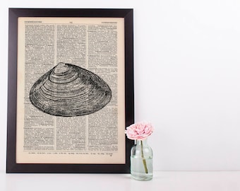 Sunray Venus Shell Dictionary Illustration Art Print Vintage Sea Life Nautical