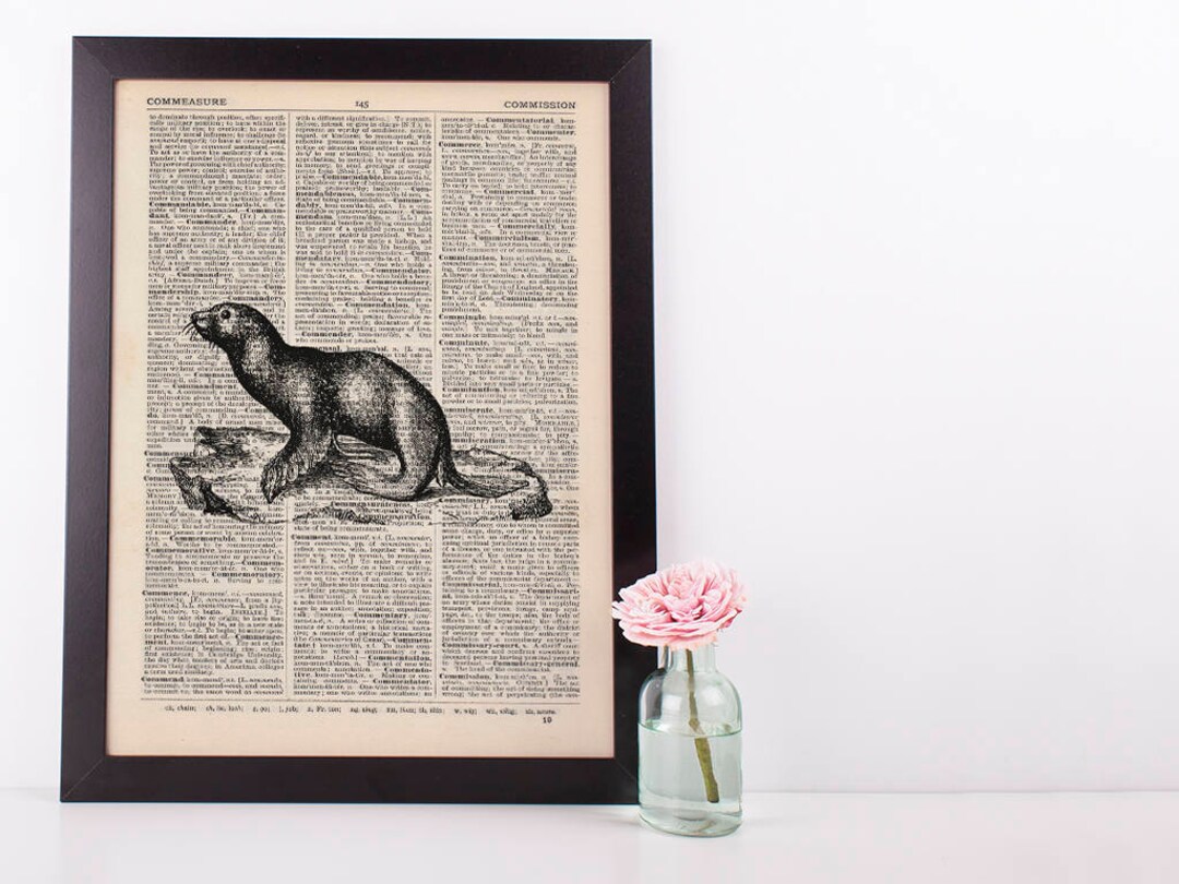 Seal Dictionary Illustration Art Print Vintage Sea Life Etsy