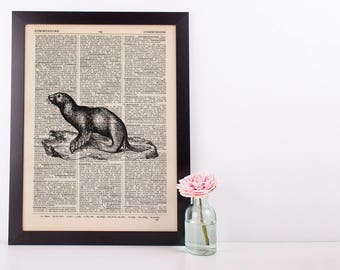 Seal Dictionary Illustration Art Print Vintage Sea Life Nautical