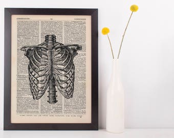 Anatomical Chest Rib cage & Spine Dictionary Art Print, Medical Anatomy Vintage