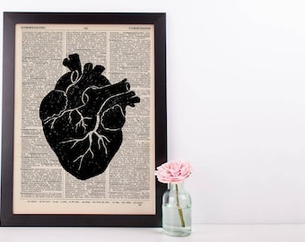 Anatomical Heart Anatomy Dictionary Print