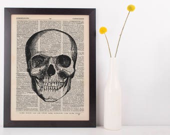 Anatomical Front Skull Dictionary Art Print, Medical Anatomy Vintage