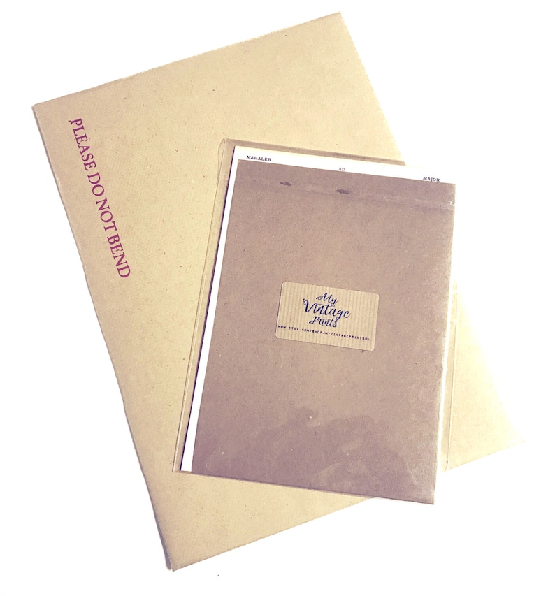 May include: A brown paper envelope with the text "PLEASE DO NOT BEND" printed in red. The envelope is folded and has a smaller brown envelope inside with a sticker that says "My Vintage Prints".