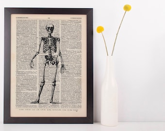 Anatomical Front Facing Skeleton Dictionary Art Print, Medical Anatomy Vintage