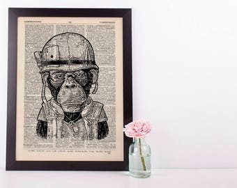 Army Monkey Dictionary Art Print Set Animals Clothes Anthropomorphic Human