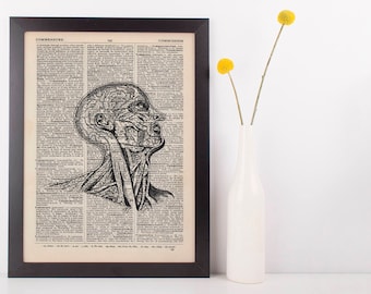 Anatomical Side Head Dissection Dictionary Art Print,Medical Anatomy Vintage