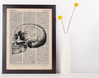 Anatomical Side Skull Dictionary Art Print,Medical Anatomy Vintage