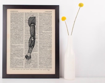 Anatomical Arm Muscles Dictionary Art Print, Medical Alternative Anatomy Vintage