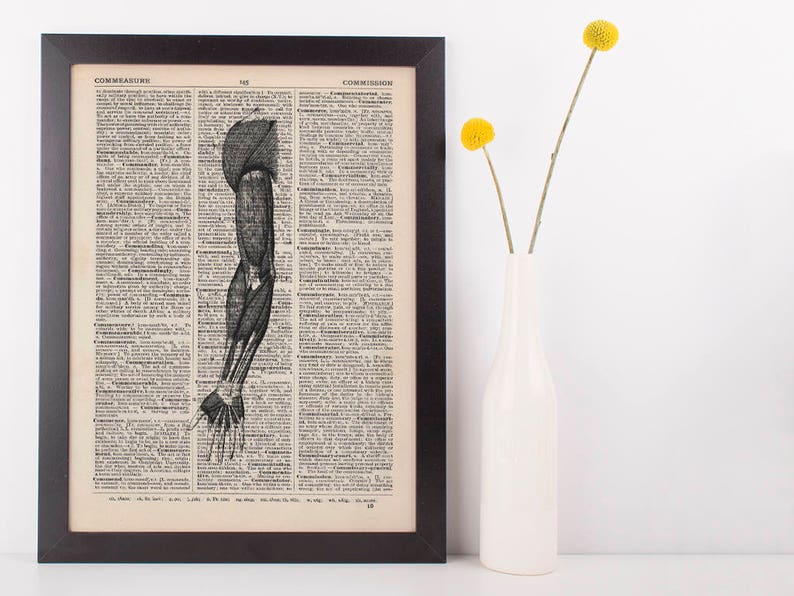 May include: A vintage anatomical illustration of the human arm muscles printed on a black and white page. The image is framed in a black frame and displayed against a white wall.