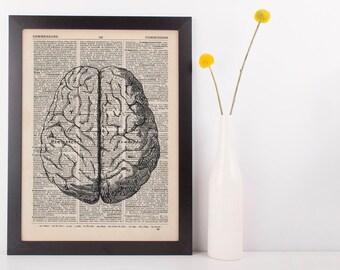 Anatomical Brain Dictionary Art Print, Medical Gross Anatomy Grey's Vintage