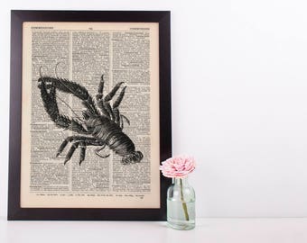 Lobster 1 Dictionary Illustration Art Print Vintage Sea Nautical