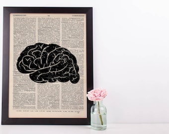 Anatomical Brain Anatomy Dictionary Print