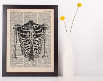 Anatomical Torso & Arms Skeleton Dictionary Art Print,Medical Anatomy Vintage