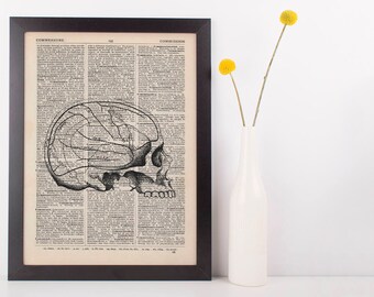 Anatomical Brain Areas in Skull Dictionary Art Print, Medical Anatomy Vintage