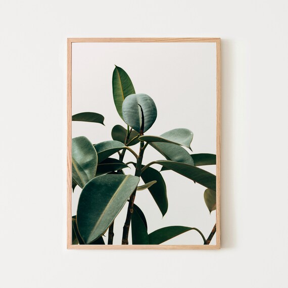 Plant Leaf Art Print Printable Wall - Plant Wall Art Print Plant Leaf Art Print Printable Wall - Plant Wall Art Print